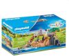 Playmobil Family Fun Leeuwen in het buitenverblijf 70343 online kopen