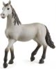 Schleich Horse Club Pura Raza Espa&#xF1, ola Young Horse 13924 online kopen