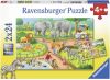 Ravensburger Puzzel Een Dag In De Dierentuin 2 X 24 Stukjes online kopen