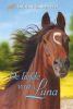 Gouden paarden: De liefde van Luna Christine Linneweever online kopen