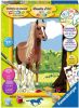 Ravensburger Schilderen op nummer Paard online kopen
