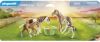 Playmobil ® Constructie speelset 2 IJsland pony's met veulens(71000 ), Country Gemaakt in Europa(5 stuks ) online kopen