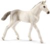 Schleich Holstein Veulen Speelfiguur Horse Club 13860 online kopen