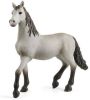 Schleich Horse Club Pura Raza Espa&#xF1, ola Young Horse 13924 online kopen