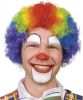 Boland Pruik Clown Krullen Synthetisch online kopen